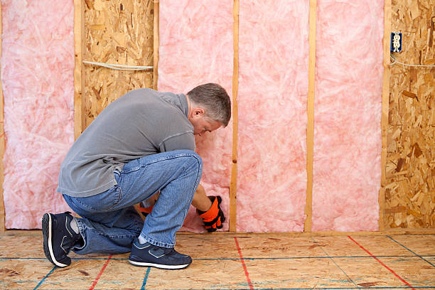 Best Residential Insulation in Manchester, MI